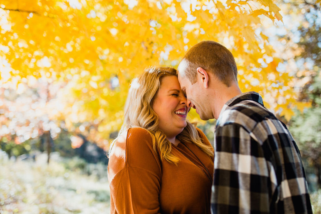 16_wedding-photographer_lifestyle-session_minnesota-photographer_fall-colors_engagement_dogs-in-engagement-session.jpg