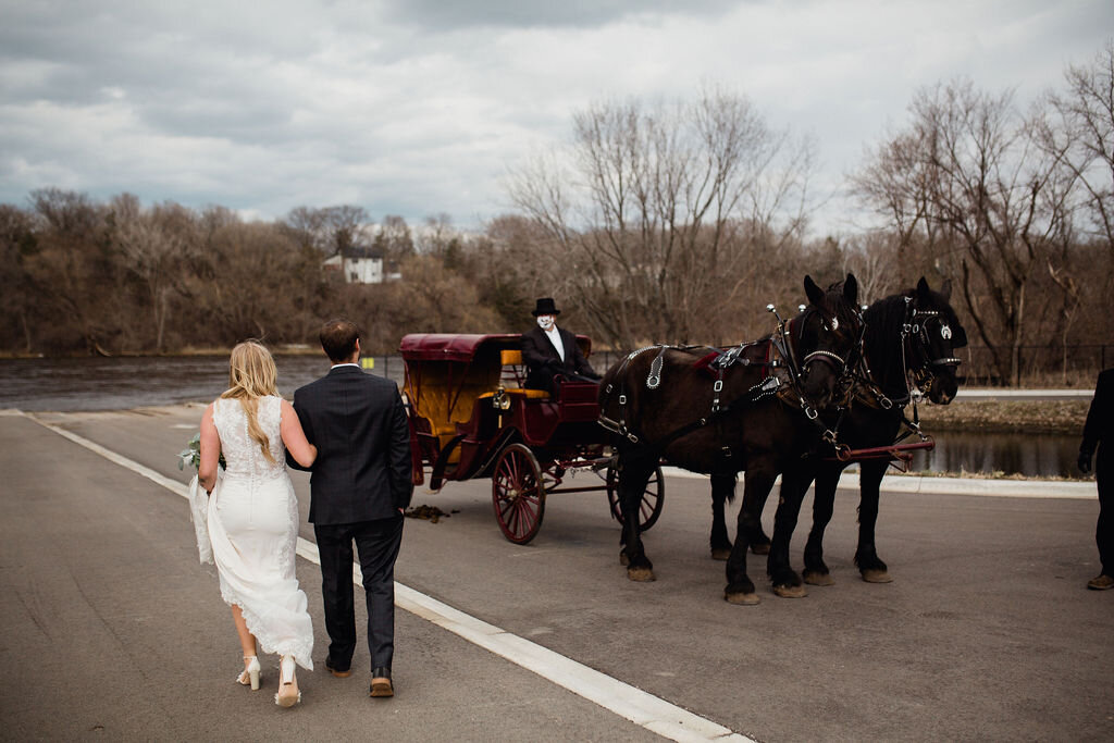 13_minnesota-photographer_wedding-photographer_outdoor-wedding_dark-and-moody_horse-carriage.jpg